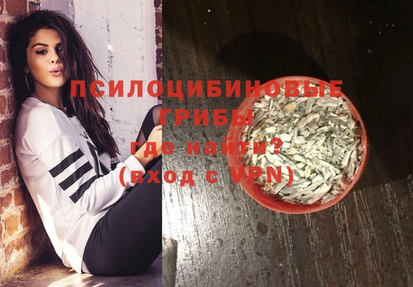 спайс Вяземский