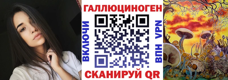 Купить где  Красавино  Псилоцибиновые грибы Psilocybe 